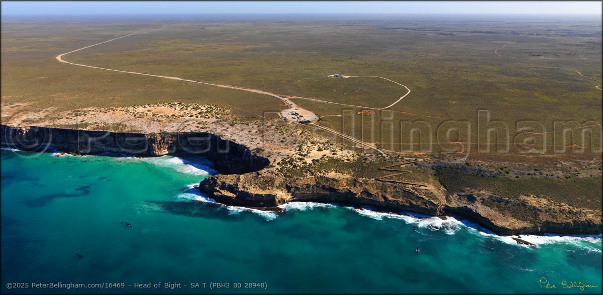 Peter Bellingham Photography Head of Bight - SA T (PBH3 00 28948)
